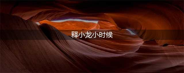 心酸的释小龙：2岁练武，父亲当他“摇钱树”，如今风光不再(释小龙小时候)