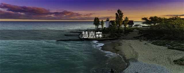 徐斌教授-国家职业经理人评鉴中心（职业经理人标准委员会）专家(慧嘉森)