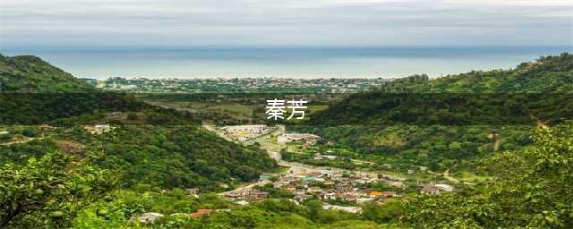 她是电视主持人，也曾是重庆“最美”高考状元，今39岁依然单身(秦芳)
