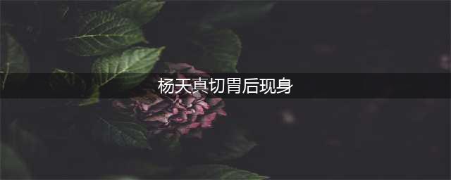 杨天真切胃后现身出镜间，网友：胖的没人要你，没人跟你谈对象(杨天真切胃后现身)