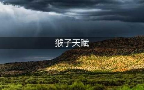 《英雄联盟》S11神圣分离猴子怎么出装和点天赋 猴子怎么玩(猴子天赋)