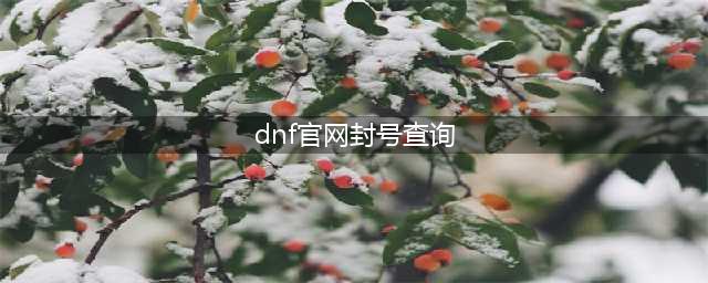 《dnf》封号如何查询 封号查询方法(dnf官网封号查询)