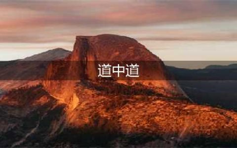 《太公传承》道中道进化属性一览 道中道属性怎么样(道中道)