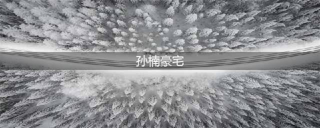 带你看看孙楠的豪宅，家里整面墙都是书柜，在家很注重养生(孙楠豪宅)
