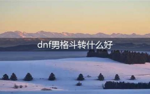 《DNF》男格斗90版本转什么职业好转职推荐(dnf男格斗转什么好)