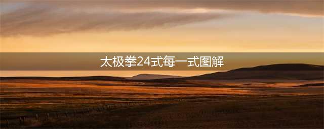 终于找到了！24式太极拳正背面动图全解，抓紧收藏~(太极拳24式每一式图解)