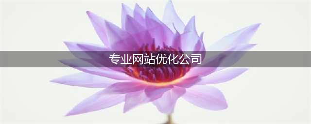 网站优化公司推荐(专业网站优化公司)