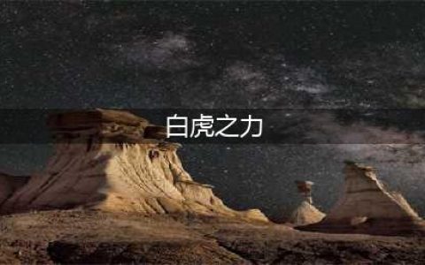 《蛮荒传奇》四象之力介绍