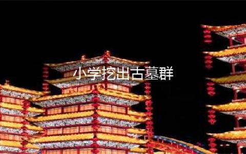 小学挖出古墓群 近百个古墓都埋了些什么宝贝？(图)(小学挖出古墓群)