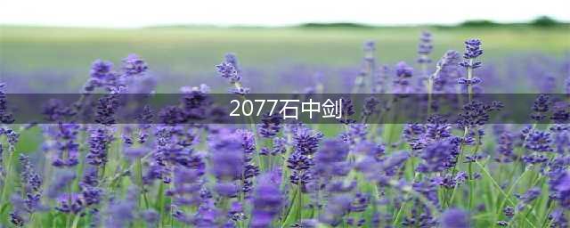 赛博朋克2077石中剑怎么获得 赛博朋克2077石中剑获取方法