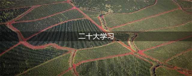 学习二十大心得体会(二十大学习)