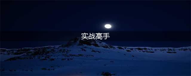 世上公认的四大实战高手：泰森、菲多上榜，图4论打架不输任何人！(实战高手)