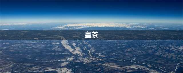 第一杯喜茶叫「皇茶」(皇茶)