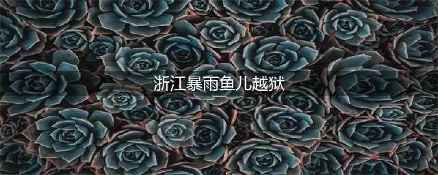 浙江温岭暴雨鱼儿“越狱” 河道开闸村民捕鱼(浙江暴雨鱼儿越狱)