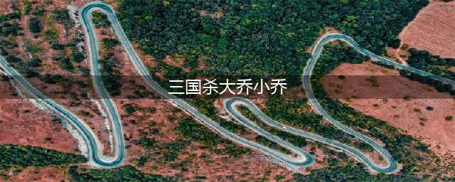 《三国杀十周年》大乔小乔技能介绍(三国杀大乔小乔)
