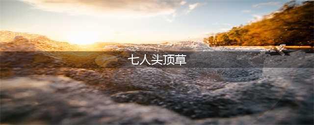 阴阳师灯谜七人头顶草答案是什么？灯谜七人头顶草答案解析
