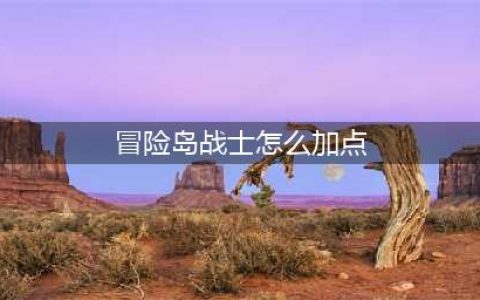 《冒险岛》狂龙战士属性怎么加点 狂龙战士属性加点攻略(冒险岛战士怎么加点)