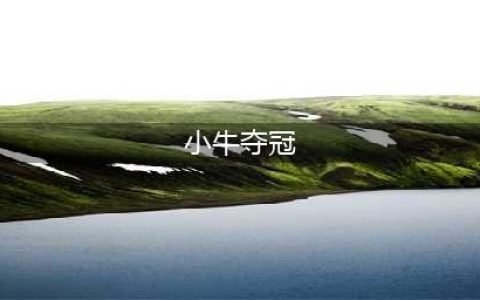 经典回顾：2011年小牛夺冠的冠军阵容都有哪些？几名老将的疯狂(小牛夺冠)