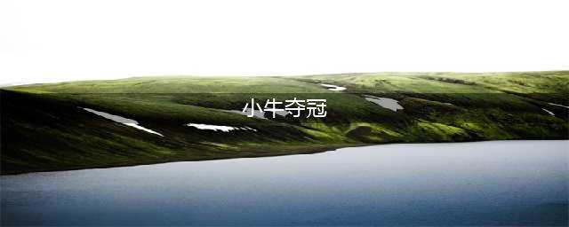 经典回顾：2011年小牛夺冠的冠军阵容都有哪些？几名老将的疯狂(小牛夺冠)