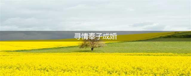 女博士和高中生奉子成婚，婚后4年闹分手，女子：男子太差(寻情奉子成婚)