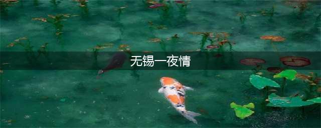 闺蜜与丈夫有了一夜情，整天忙于事业的妻子浑然不知，丈夫很后悔(无锡一夜情)