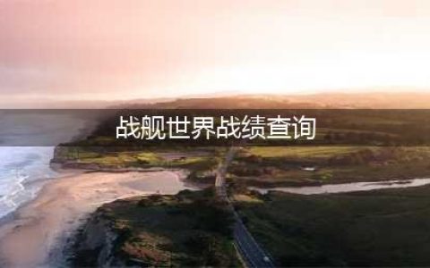 战舰世界战绩怎么查询 战舰世界战绩查询入口