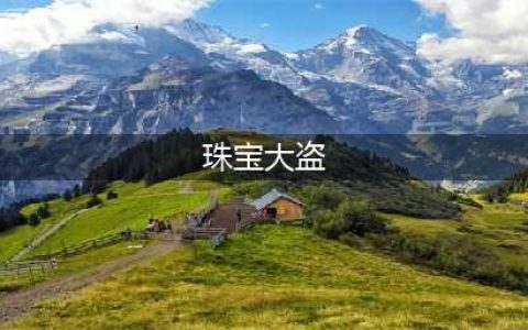 《生化危机4重制版》珠宝大盗悬赏任务完成方法