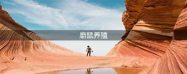 特种养殖：麝鼠养殖及管理技术(麝鼠养殖)