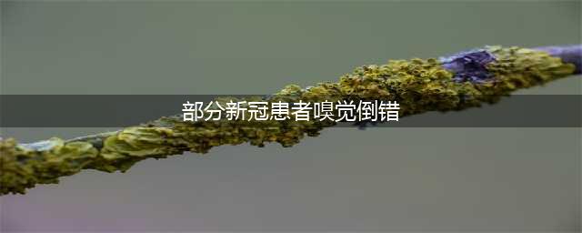 【双语时政专栏】——英国部分新冠患者出现“嗅觉倒错”，莫名闻到鱼腥味、硫磺味(部分新冠患者嗅觉倒错)