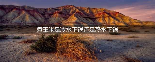 煮玉米，应该凉水下锅还是开水下锅？教你正确煮法，个个香甜好吃(煮玉米是冷水下锅还是热水下锅)