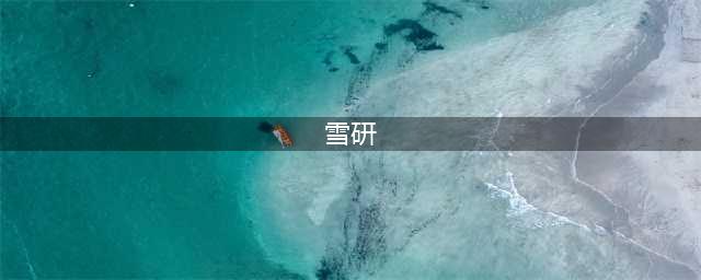 《炉石传说》砰砰雪研进化萨卡组玩法攻略 雪研进化萨卡组怎么玩