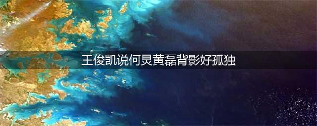 王俊凯说何炅黄磊背影好孤独，引发网友对“当众孤独”的探讨(王俊凯说何炅黄磊背影好孤独)
