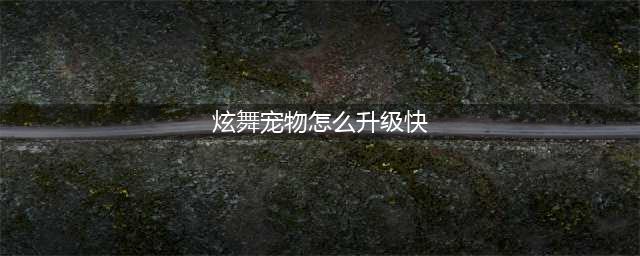 炫舞宠物怎么升级快 炫舞宠物怎么升级快一点