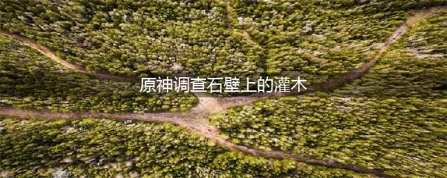 原神恒久之约调查石壁上的灌木