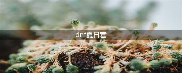 《DNF》2021夏日套礼包内容 2021夏日套礼包及奖励一览(dnf夏日套)