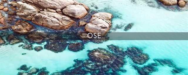 西北大学第一医院脊柱外科应用 脊柱内镜技术(OSE)治疗高龄患者腰椎狭窄症(OSE)