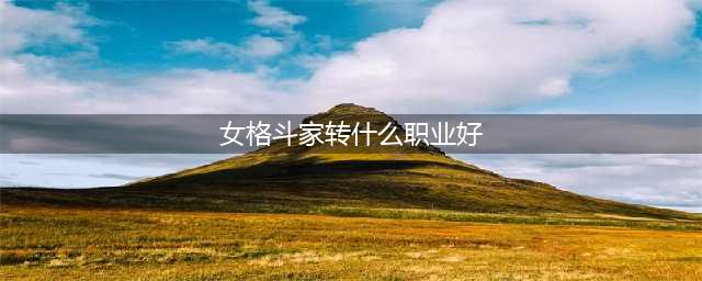 《DNF》手游平民格斗家转职什么好 平民格斗家转职推荐