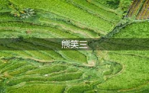 传奇父子，一是共产党，一是国民党！儿子军长神奇“飞”出包围圈(熊笑三)