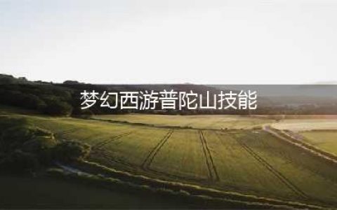 梦幻西游普陀山技能使用方法一览(梦幻西游普陀山技能)