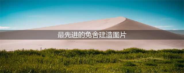 4款国外农村养兔场建设平面图 家兔养殖兔舍建设规划布局设计图(最先进的兔舍建造图片)