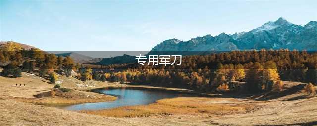 世界各国特种兵专用的5把军刀，没有中国的三菱军刺！(专用军刀)