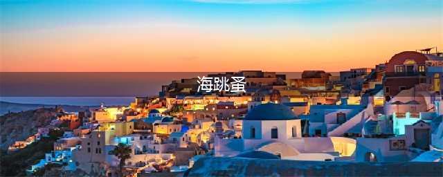 真相！墨尔本Brighton海滩吃人肉的生物原来不是海虱，而是它！好消息是……(海跳蚤)