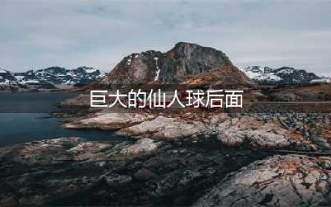 《航海王热血航线》巨大仙人球后面位置分享 巨大仙人球位置在哪里