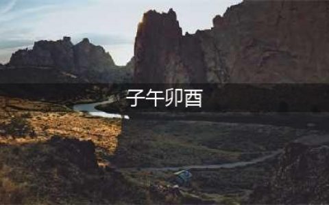 八字子午卯酉详解(子午卯酉)