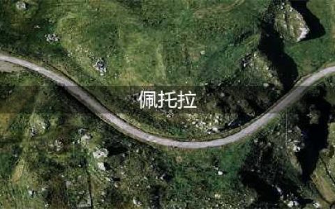 《火焰纹章风花雪月》佩托拉个人能力怎么样 佩托拉个人能力介绍(佩托拉)