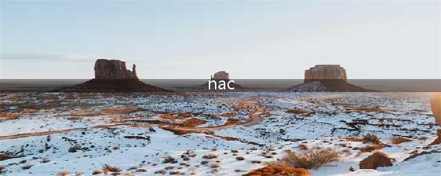 什么是NAC？如何使用NAC？NAC有什么健康益处？(nac)