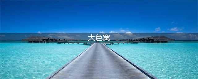 潜江警方端掉一特大色情窝点查处团伙成员13人(大色窝)