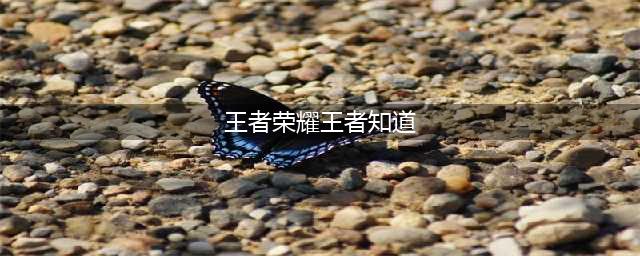 《王者荣耀》王者知道答题参与方法(王者荣耀王者知道)