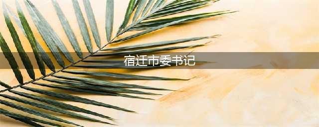 宿迁7任市委书记的仕途之路(宿迁市委书记)