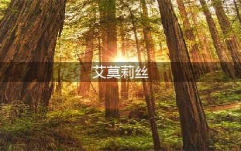 《魔兽世界》怀旧服艾莫莉丝在什么地方 艾莫莉丝位置介绍(艾莫莉丝)